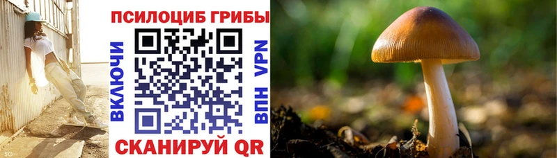 Галлюциногенные грибы прущие грибы  Купить закладки  Нерехта 